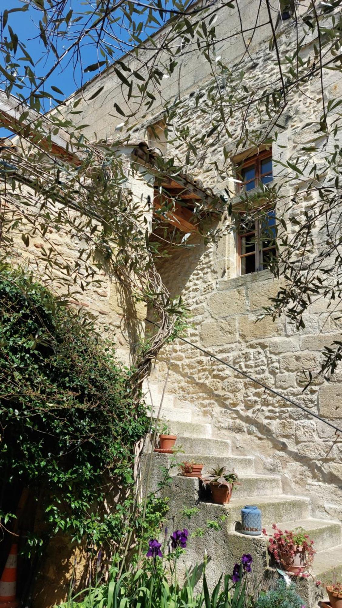 Le Petit Domeynes Apartment Exterior photo